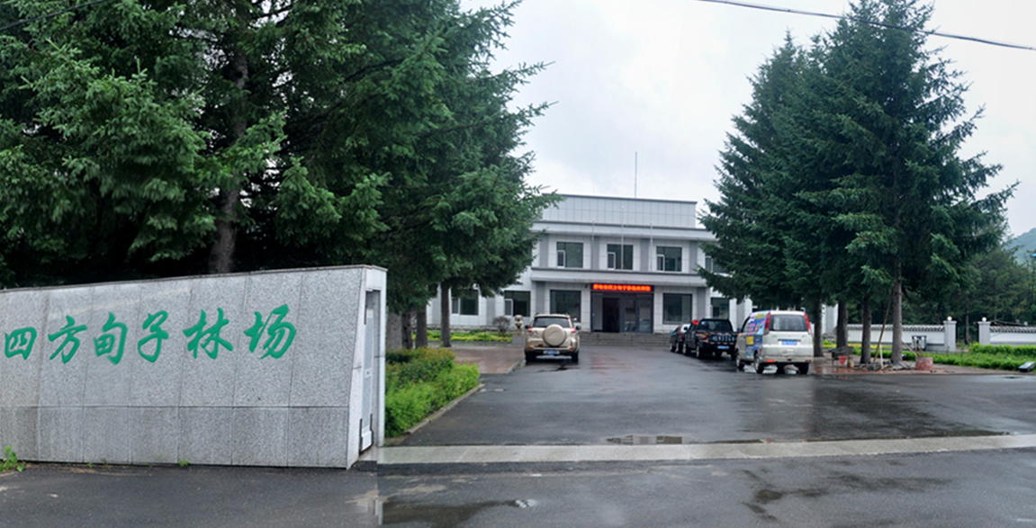 吉林省樺甸林業(yè)局1560平